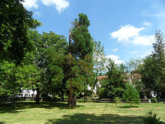 Roseninsel & Sobernonplatz