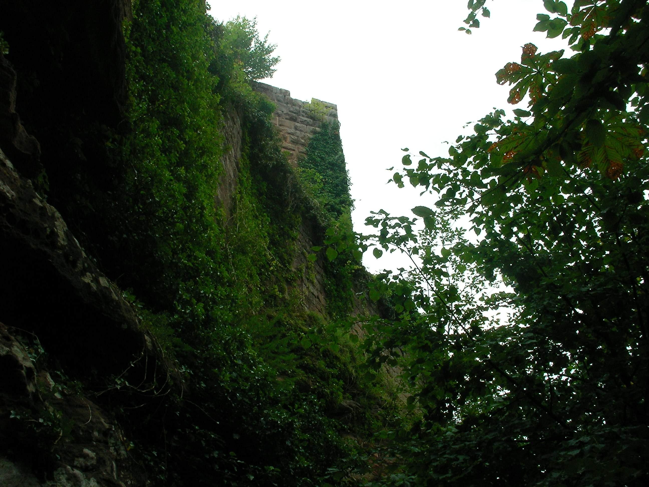 Burg Groß-Arnsberg
