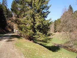 das Köllbachtal mit Seitentälern