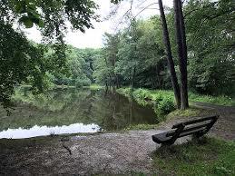 Grünwiesenweiher