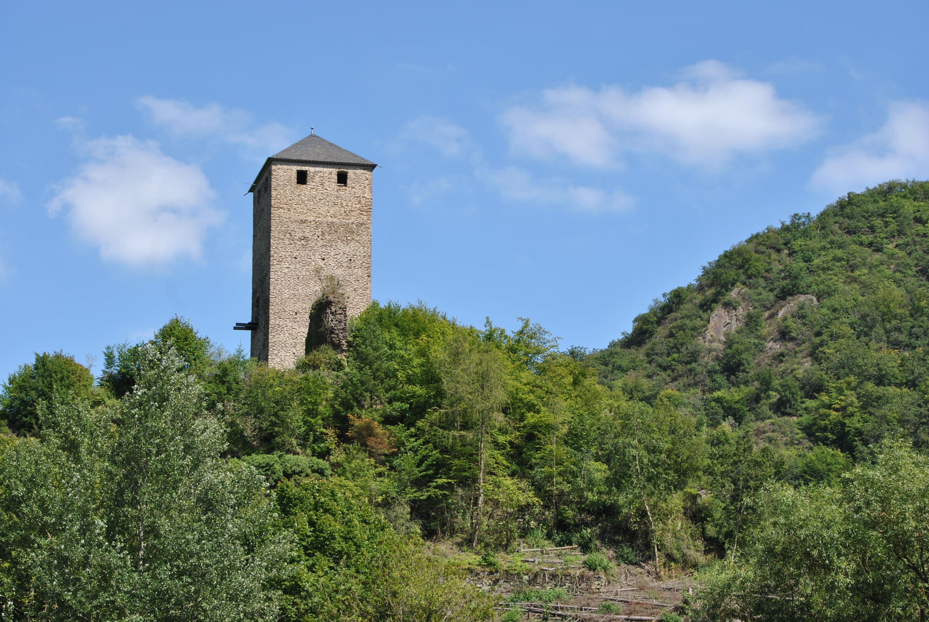 die Burg Treis