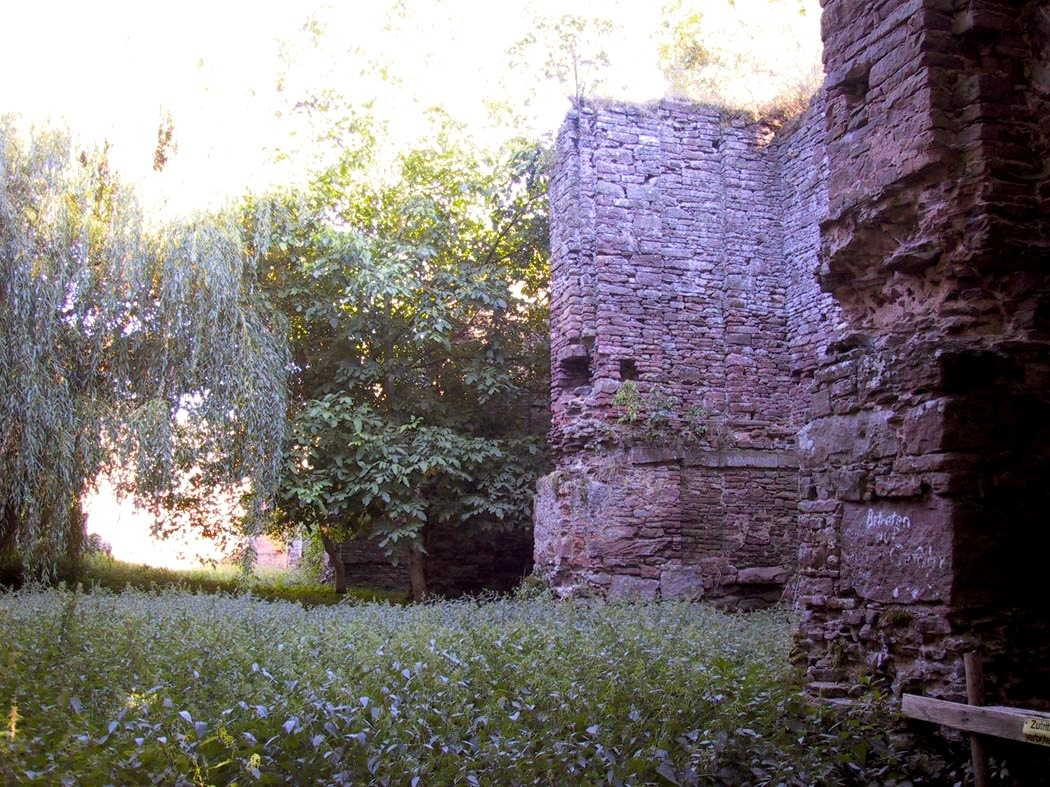 Ruine Aura