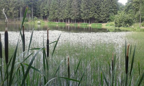 Rothsee