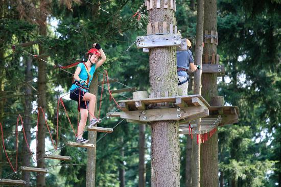 Adventureforest