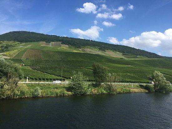 Mosel-Schiffe-Touristik