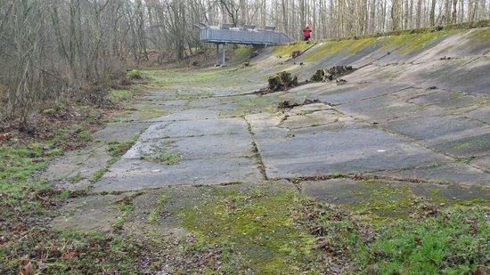 Opel Race Track