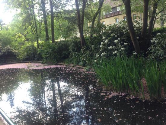 Botanischer Garten