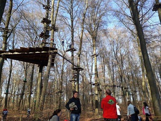 Kletterwald Langen