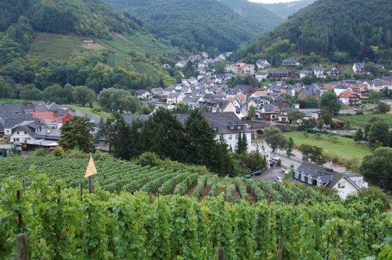 Rotweinwanderweg