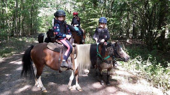 Pony-Workshop