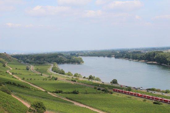 RheinEmotion
