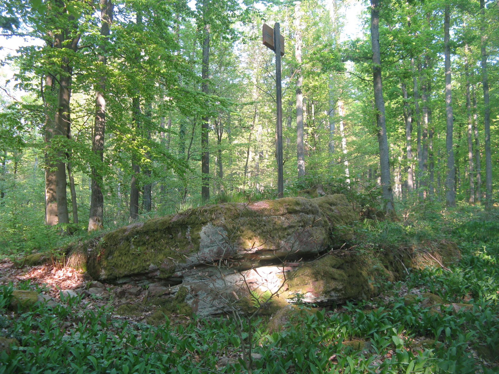 Slorburg