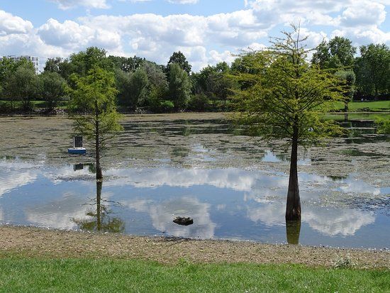 Neuer Rebstockpark