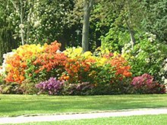 Botanischer Garten