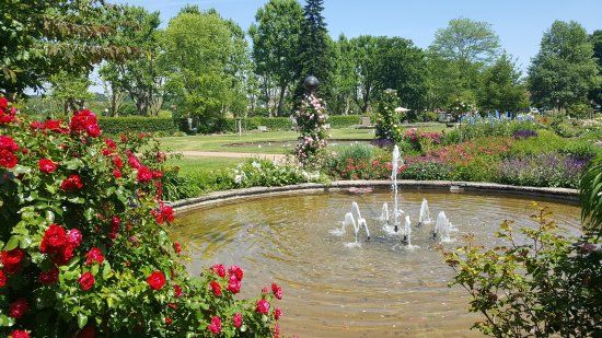 Rosengarten Zweibrücken