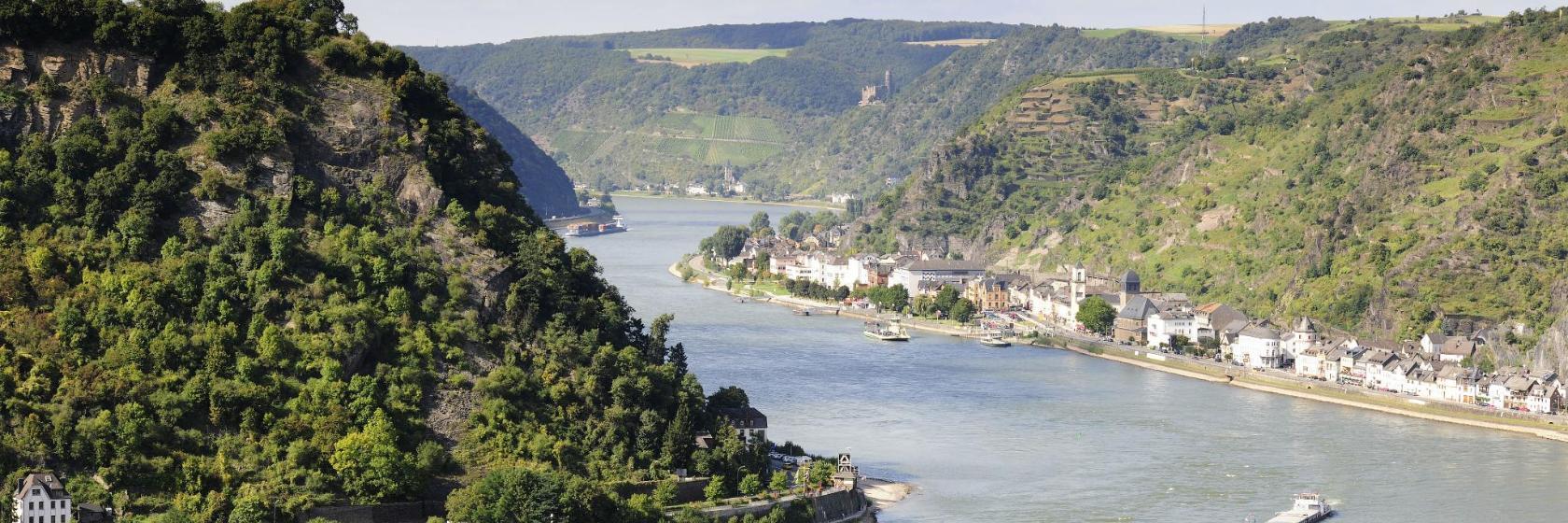 die Loreley