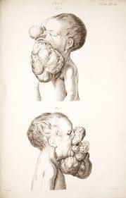 Museum Anatomicum