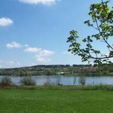 Wiesensee