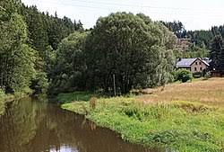 Wisenta