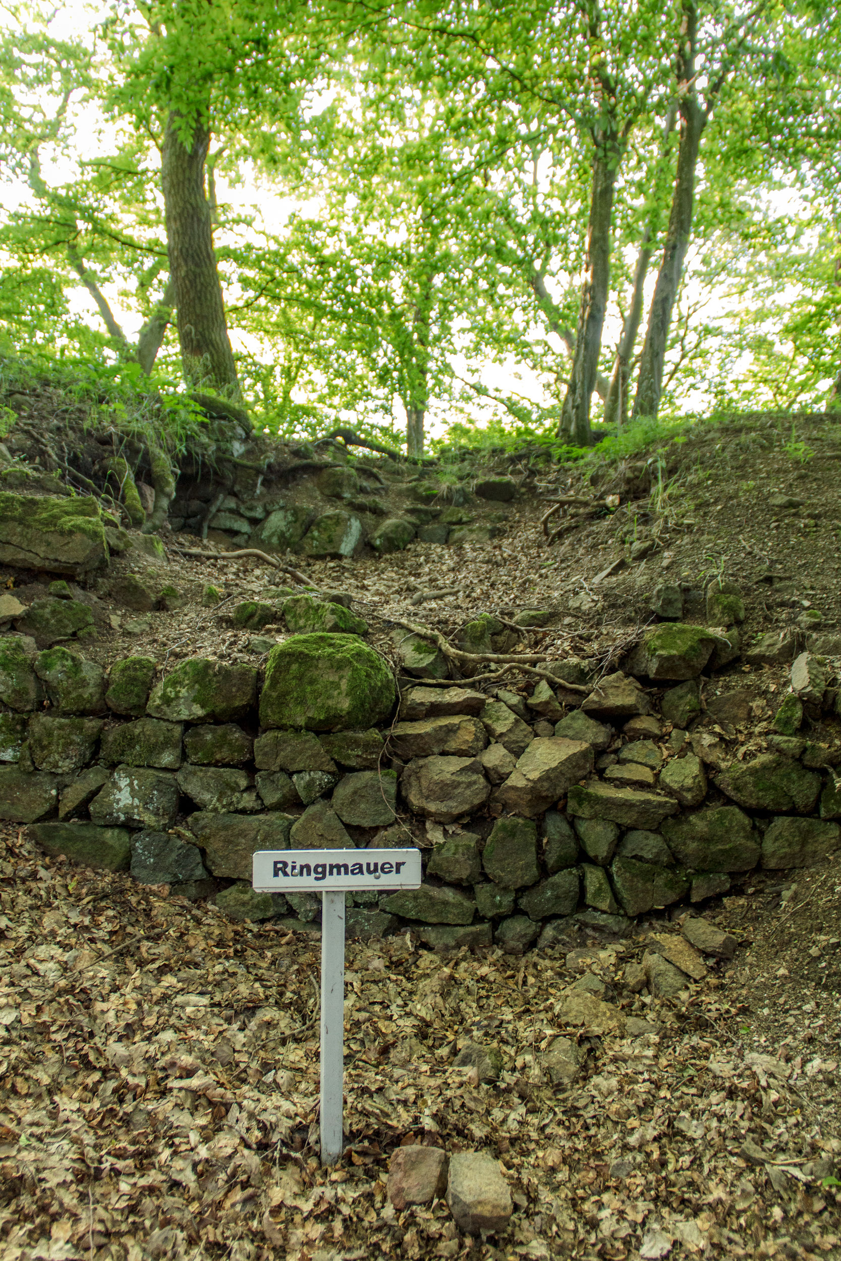 Burg Caldern