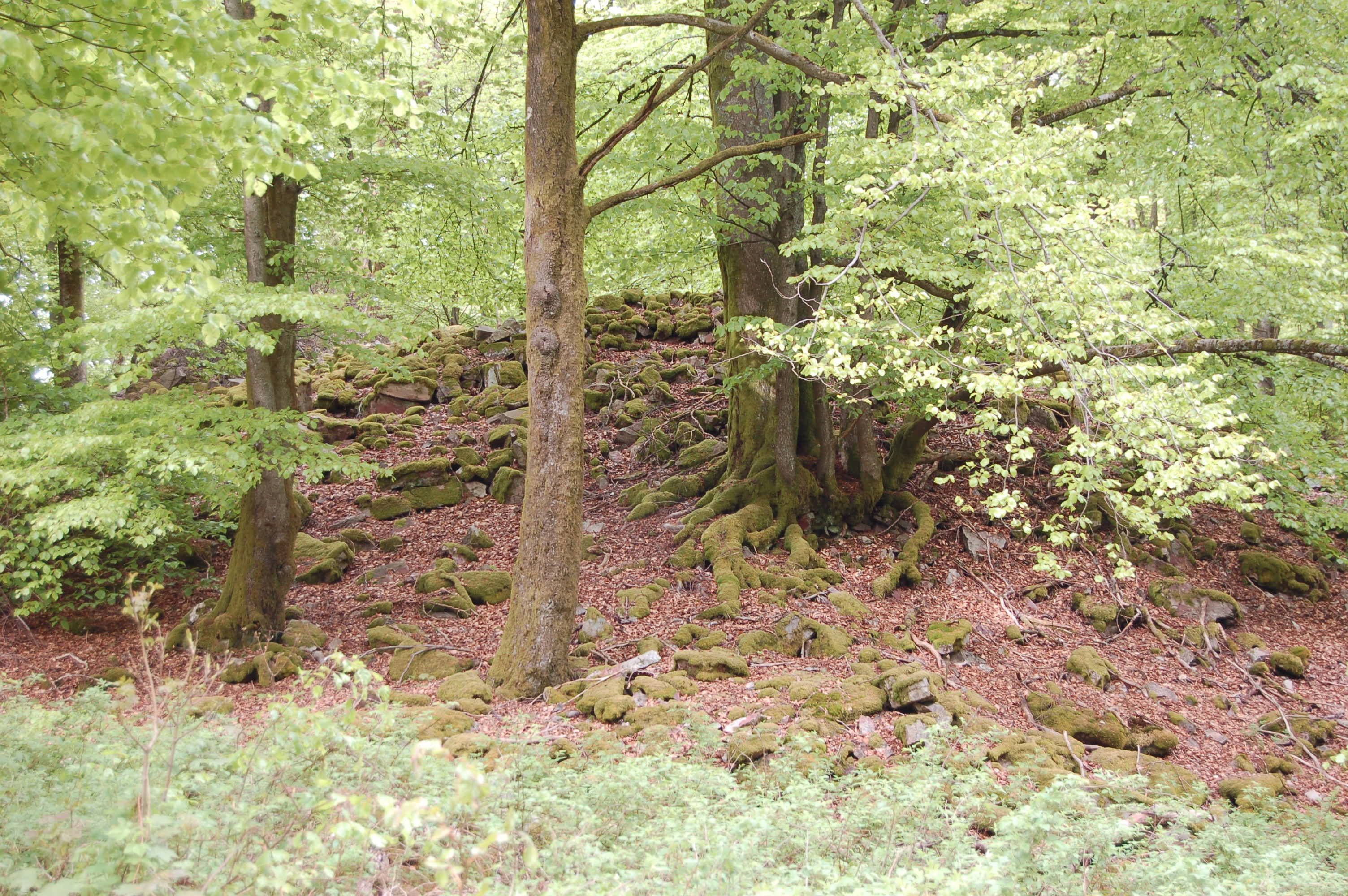 Vorkastell
